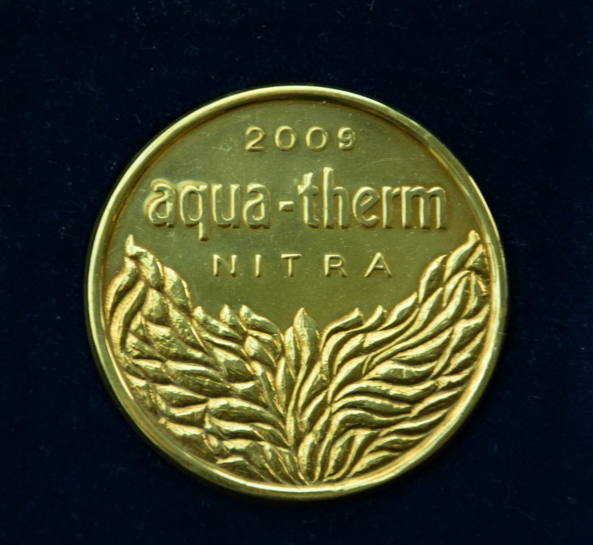 AQUA-THERM Nitra · 2009 plaque