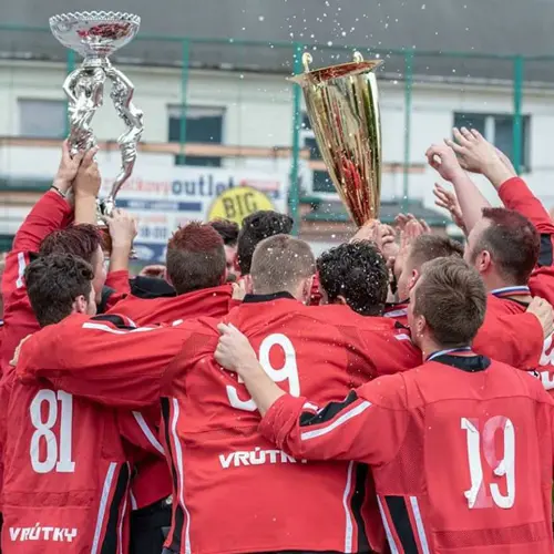 Company profile hockey-en